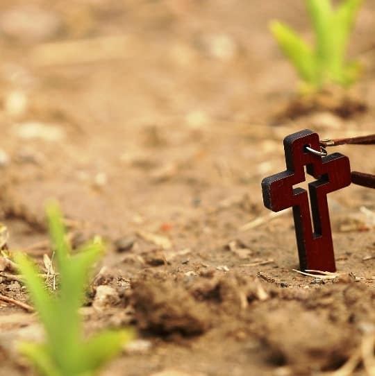 Confiance et obéissance