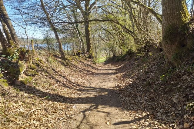Chemin