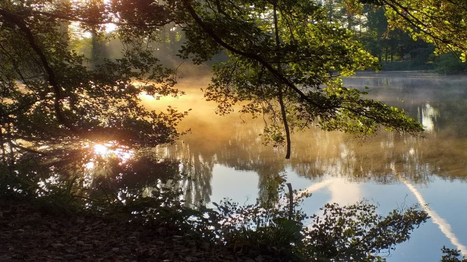 reflets soleil