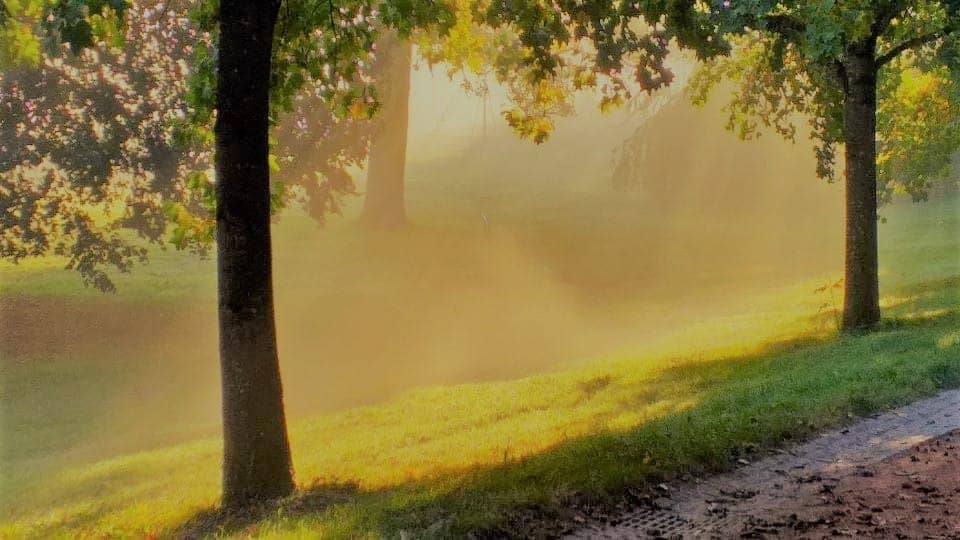 brouillard