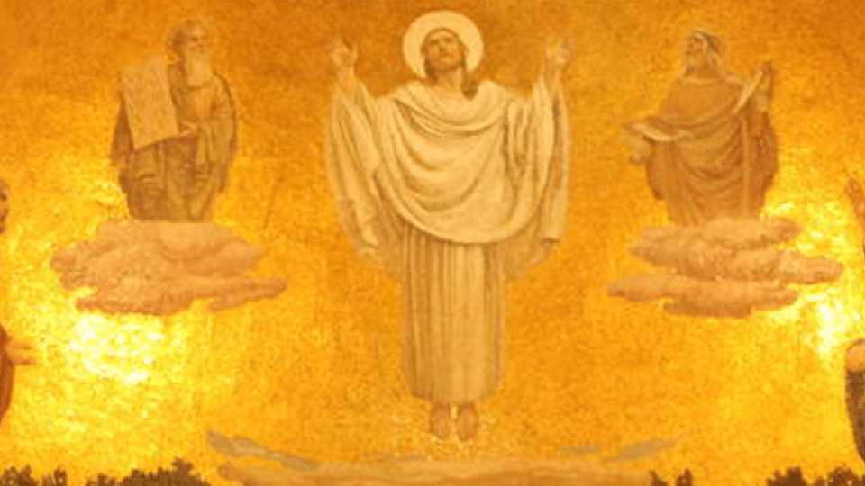 Transfiguration