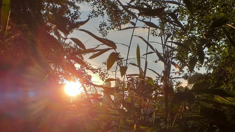 conversion ou guérison